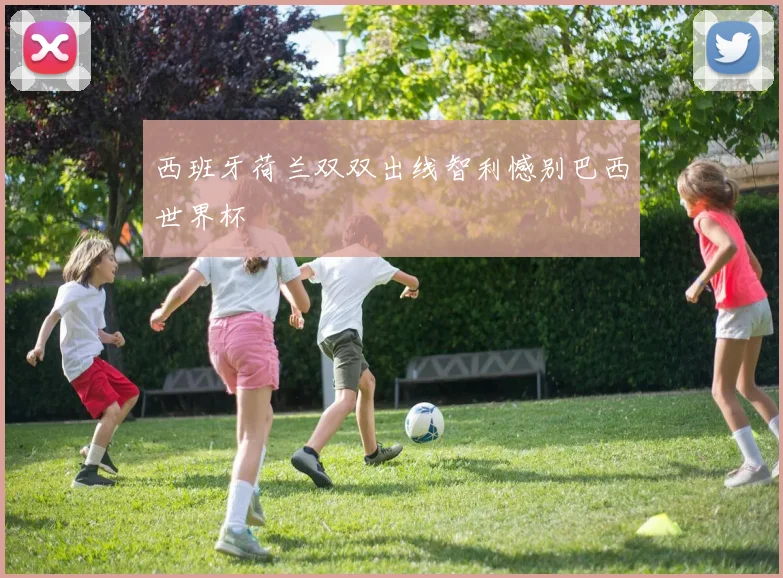 西班牙荷兰双双出线智利憾别巴西世界杯