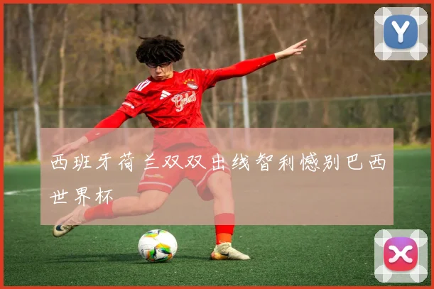 西班牙荷兰双双出线智利憾别巴西世界杯