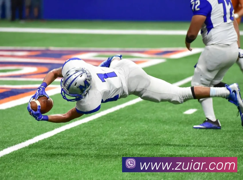 在线足球官网平台生态图